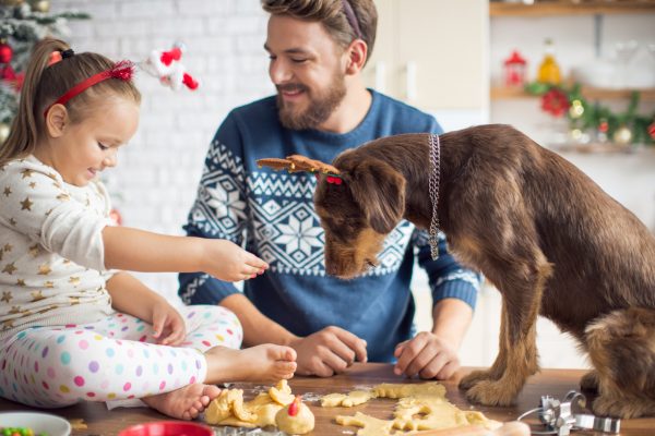 Christmas Time Dog Training Tips from AUSDOG